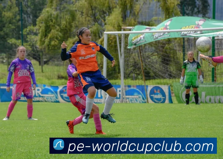 世界杯体育投注平台生态图